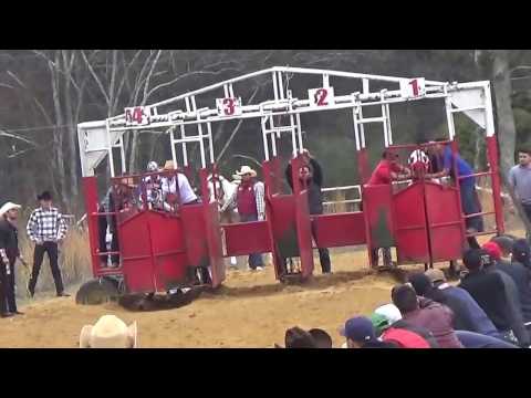 EL MEXICANO vs EL 3 CORONAS 150YDS GANA EL MEXICANO