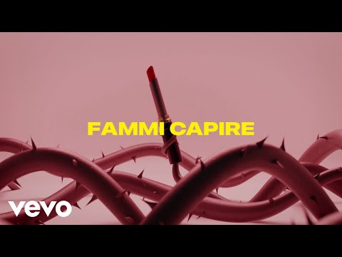 Samurai Jay, DANI - Fammi capire (Lyric Video)