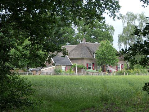 Rondwandeling naar Apenhuizen - Bathmen