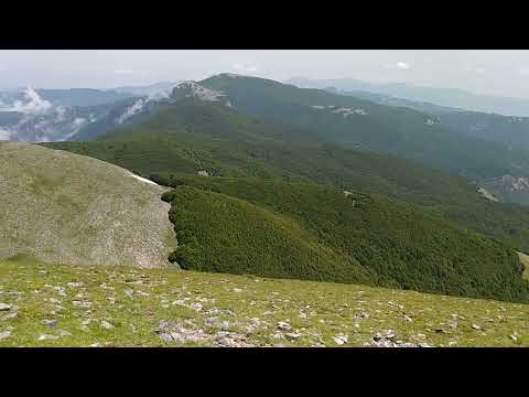 SAB.19-6-21: MONTI LA MULA (1935 M.) E LA MULETTA (1717 M.) DAI PIANI DI LANZO IN CALABRIA POLLINO.
