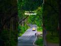 Wayanad Wonders Places To Visit In Wayanad Kerala Trip Kerala Itinerary
