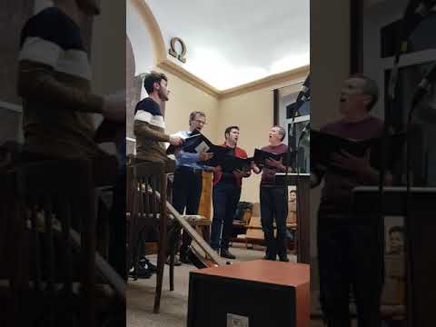 Grup Bărbătesc Pâncota - Despre Țara de sus