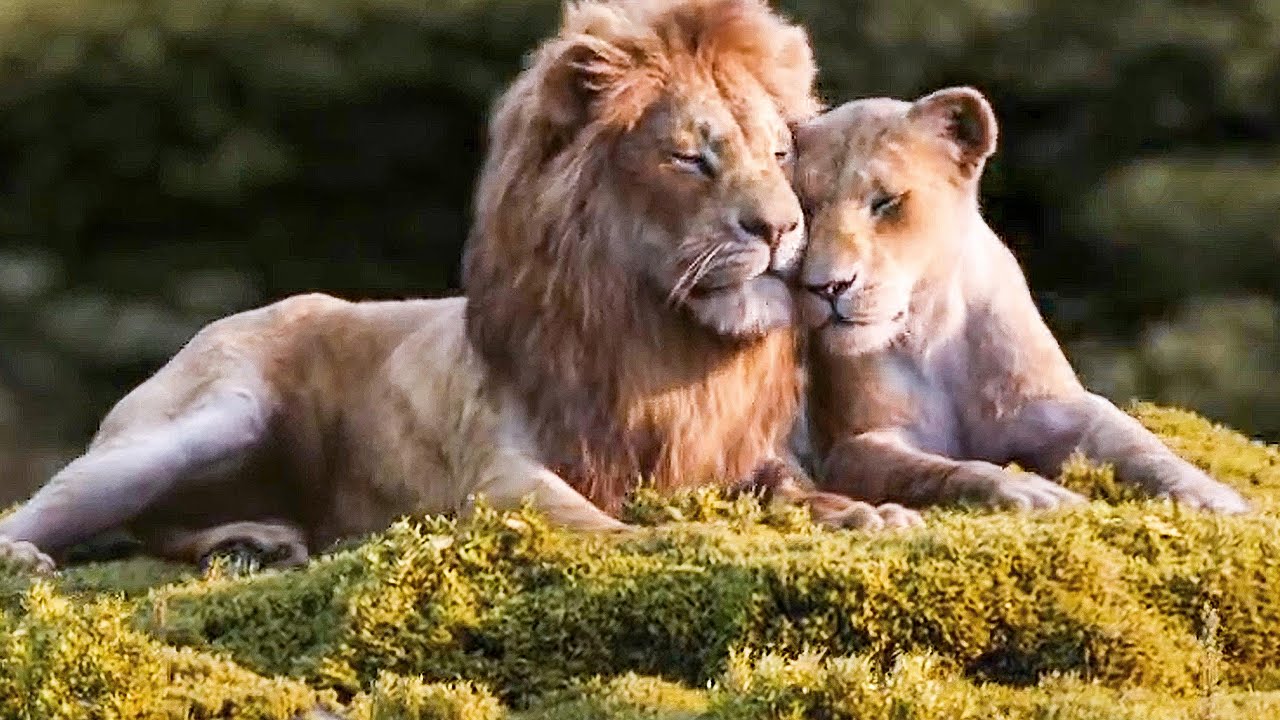 Beyonce sings Can You Feel The Love Tonight? - The Lion King