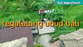 preview picture of video 'Tegalalang rice terrace ubud bali#bali tur explore bali part1'