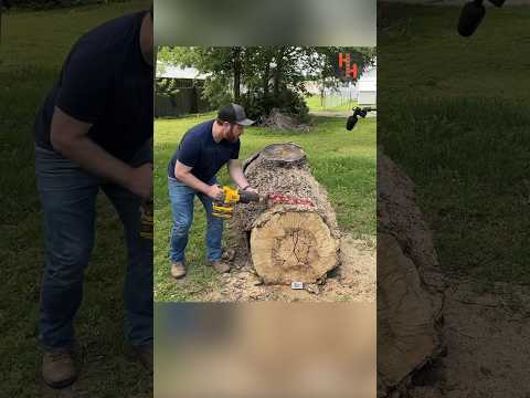 DeWALT FlexVolt Sawzall VS Huge Log!!