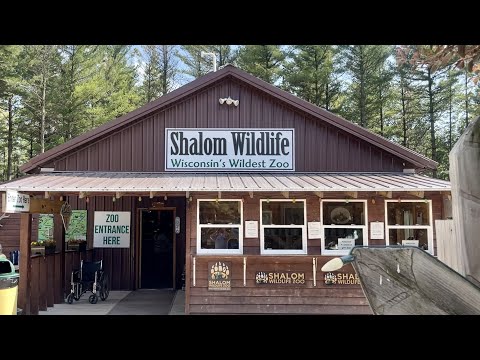 Visiting Wisconsin’s Wildest Zoo: Shalom Wildlife Zoo // Family Adventures // Bog Life #Family