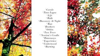 Luduvico Einaudi - In a Time Lapse (album) A4=432Hz