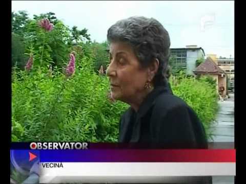 BOALA GREA, POVARA DE MOARTE.flv