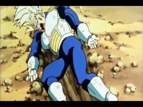 Tribute to Vegeta. (DBLZ)