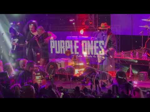 The Purple Ones - Insatiable Tribute to Prince video.