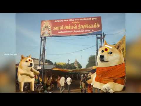 Aadi Velli kilamaiyile - Doge Version | Kovama kuttyma