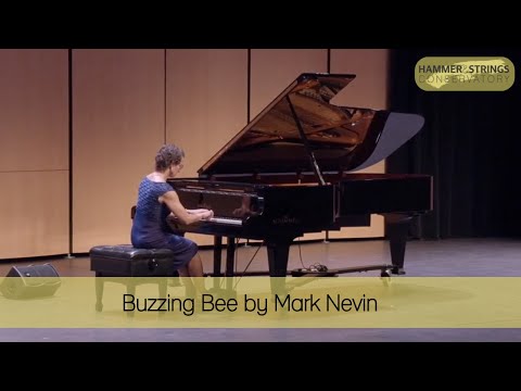 Buzzing Bee by Mark Nevin | Hammer & Strings Conservatory