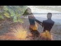 (HD 1080p) "Tahiti Trot" (Tea for Two), Dmitri ...