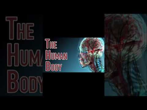 Wonderful explanation about Human Body by Ms. Tarandeep , Science Teacher at Planet-E-School