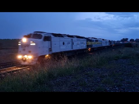 CLP12 GM27 CLF3 EL62 7962V Moorabool 03/10/23