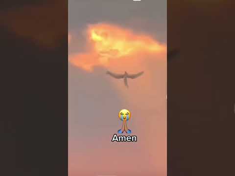 Angel Caught on Camera 🕊️🛐#shorts #parati