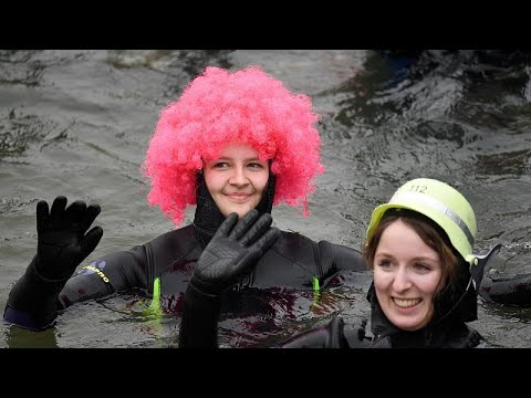 Etwa 2.000 machen mit beim 50. Donauschwimmen in Neuburg