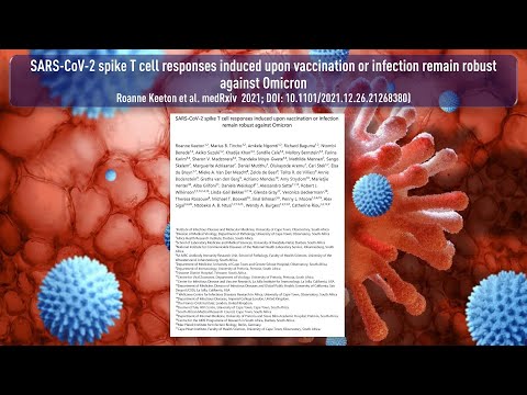 Omikron: T Zellen Antwort bleibt weitgehend erhalten
