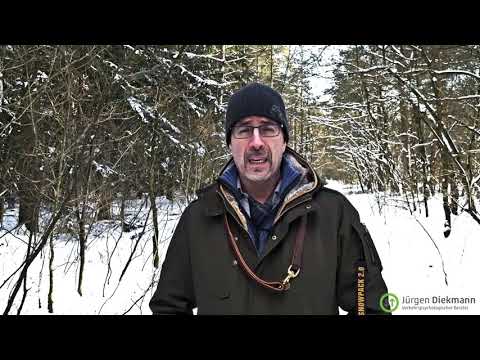 MPU #8 Das negative Gutachten und seine Folgen