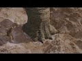 Encontrando água Dinossauro 2000 Aventura Cena HD