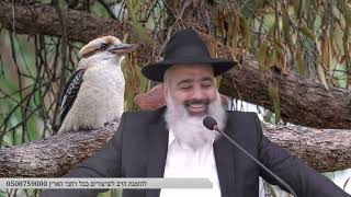 באמצע הטיול ביער נחש ארסי טיפס על יוסי והוא צרח צרחה עד שלפתע....\ מצחיק ומחזק