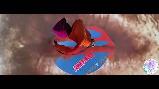 Merlin Bobb & Masaki Morii - These 4 Walls (DeepDisc) video