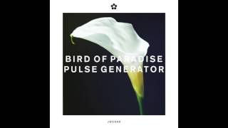 Bird of Paradise - Pulse Generator 'Kieran Holden' (Join Our Club)