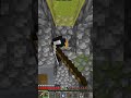 Minecraft Secret Chest Shorts Minecraft