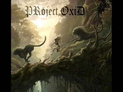 Project Oxid - Lions in the forest