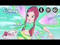 Winx Club | Dieren Magie | Disney Channel NL