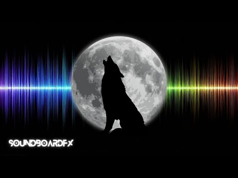Howling Wolf Cinematic/Horror Sound Effect