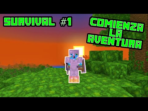 The adventure begins!  Minecraft Survival 1.19 #1 |  daby