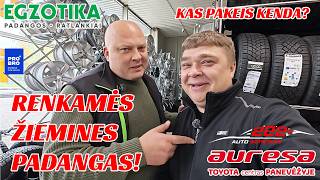 MARKELEVIČIUS #277 ŽIEMINĖS PADANGOS 2026-2027 ŽIEMAI. KĄ RINKTIS? AR KAS NORS PAKEIS KENDA?