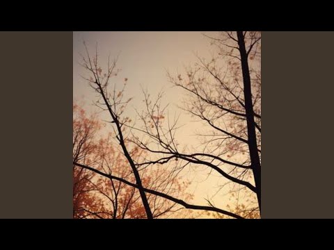 Jejakmu tak pernah hilang