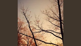 Download lagu Jejakmu tak pernah hilang mp3