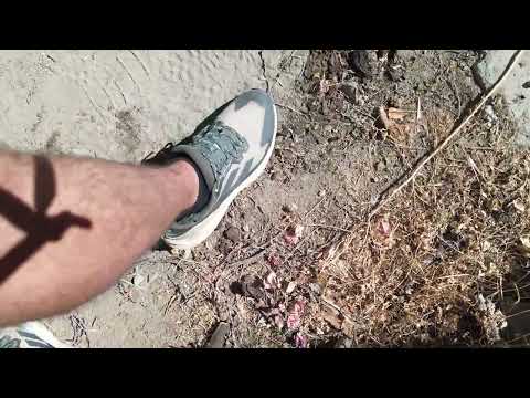 Chañaral de Caren, Ovalle, Región de Coquimbo. DJI 0193