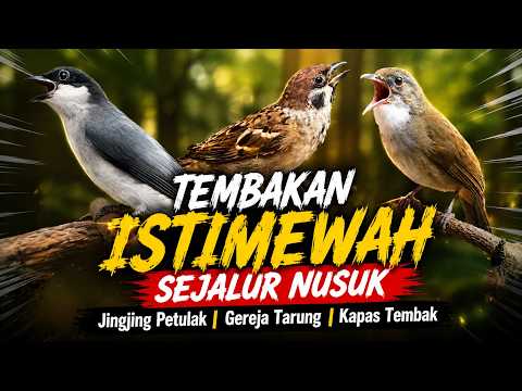 MATERI ISTIMEWAH SEJALUR NUSUK JINGJING PETULAK KAPAS TEMBAK GEREJA TARUNG