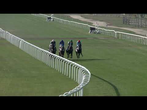 2018.10.07. 04. futam - MAFE TATTERSALLS DÍJ (I. kat.)