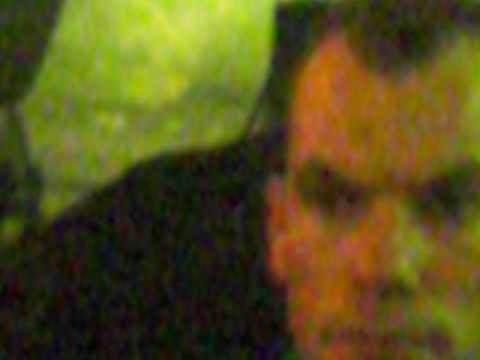 Tiesto Live - TT Hall, Assen, 19.09.09