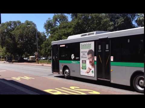 Transperth Mercedes-Benz O 405NH bus Beaufort Street Perth