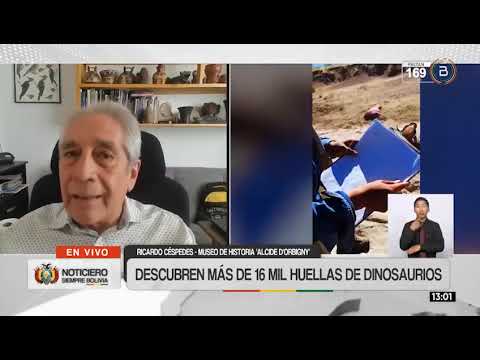 ¿Qué nos revelan más de 16.600 huellas de dinosaurios descubiertas en Potosí?