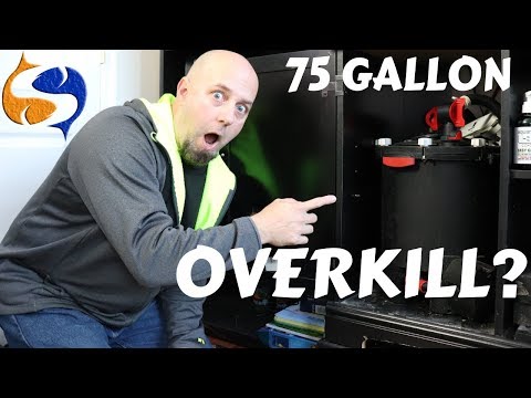 Installing A Fluval FX-6 On A 75 Gallon, Overkill? Going Small Is For Losers!