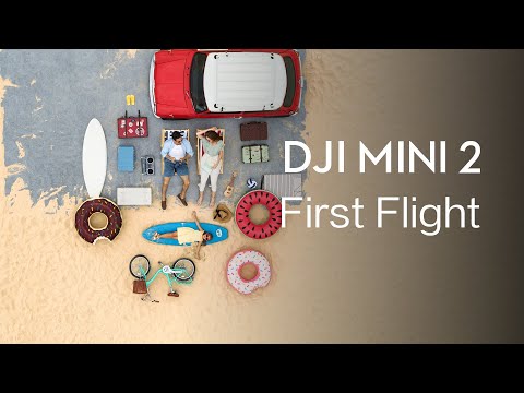 DJI Mini 2 | How to FLY DJI Mini 2