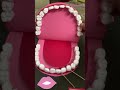 Types Of Teeth 3d Model Typesofteeth 3dmodel Schoolprojects Creativemodel Teethmodel Project