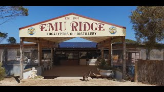 The Eucalyptus Oil Industry on Kangaroo Island