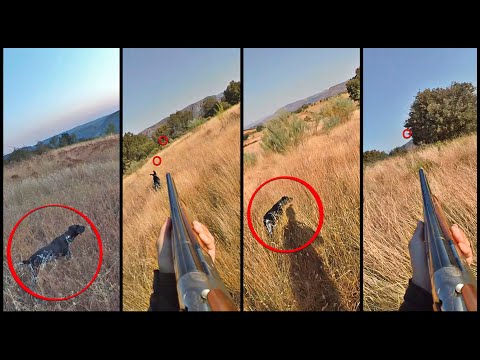 ✨𝗘𝘀𝗽𝗲𝗰𝘁𝗮𝗰𝘂𝗹𝗮𝗿𝗲𝘀✨ LANCES de CAZA MENOR en Media Veda🤩