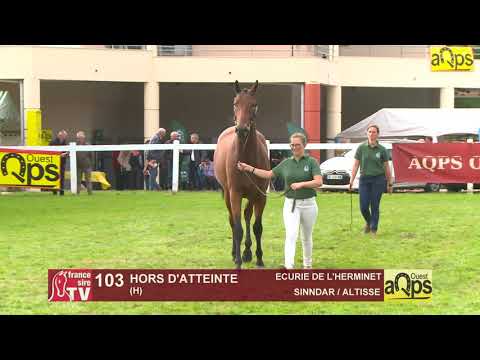 Show Aqps Ouest 2019 : Lot 103 - HORS D'ATTEINTE