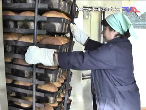 Выпуск программы “Люди труда” от 25 октября 2016г.