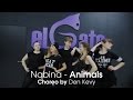 Nabina - Animals I Dance Choreo by Den Kevy ...