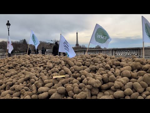 Farmers Dump 30 Tons Of Potatoes In Paris To Protest Proposed Trade Deal